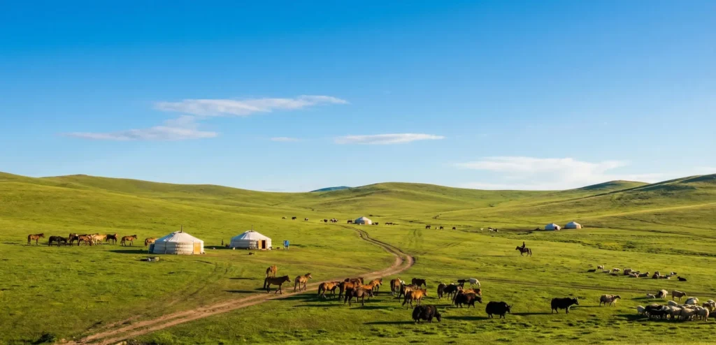 9 Day Central Mongolia Cultural Tour
