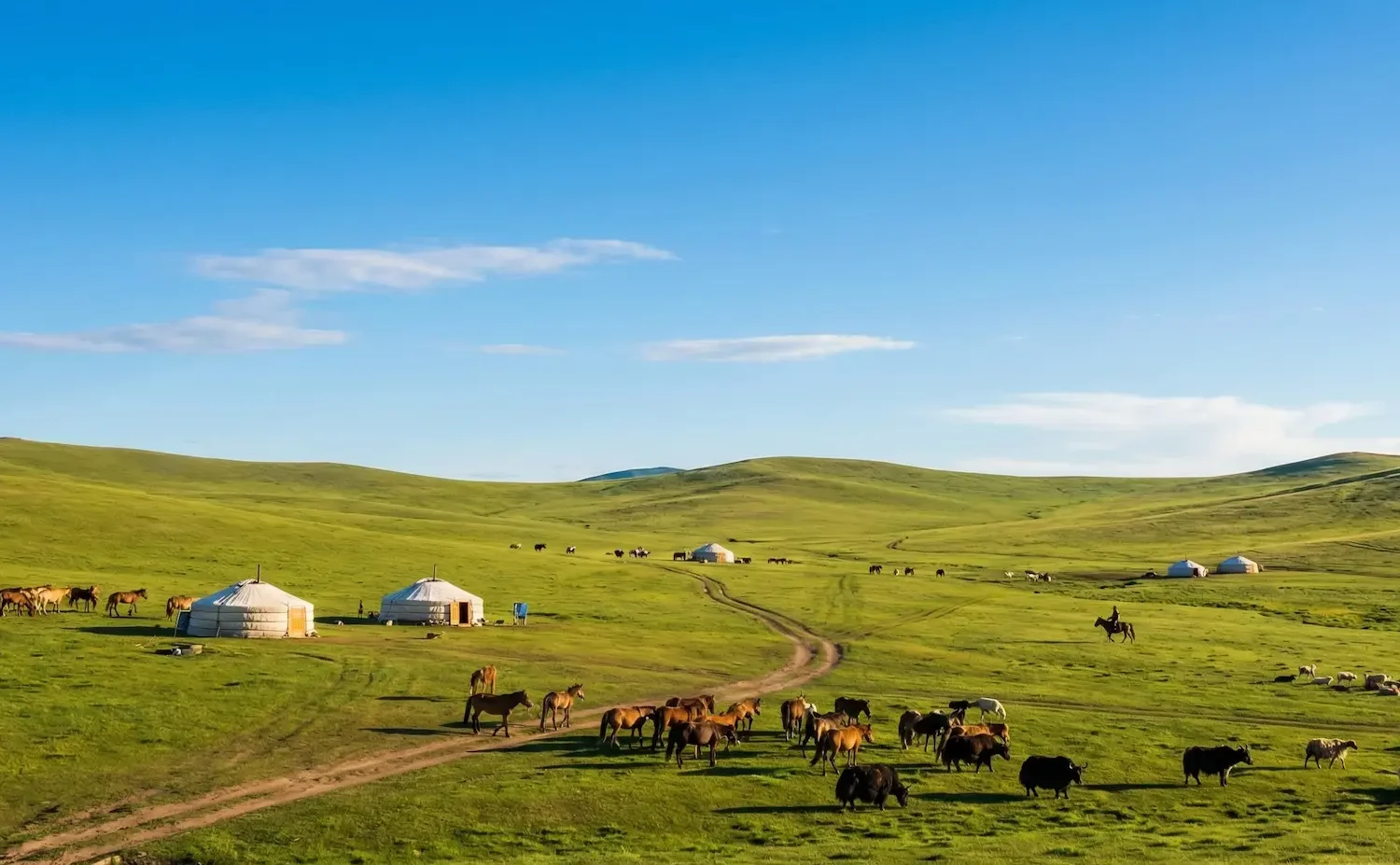 9 Day Central Mongolia Cultural Tour
