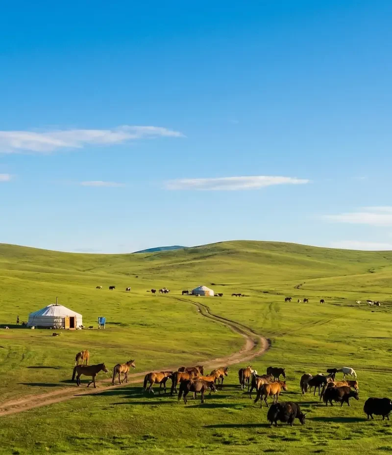 9 Day Central Mongolia Cultural Tour