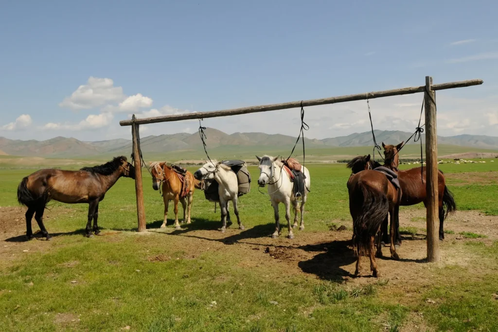 Central Mongolia horse trekking tour