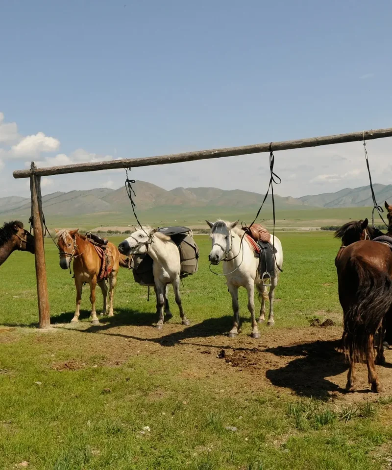 Central Mongolia horse trekking tour
