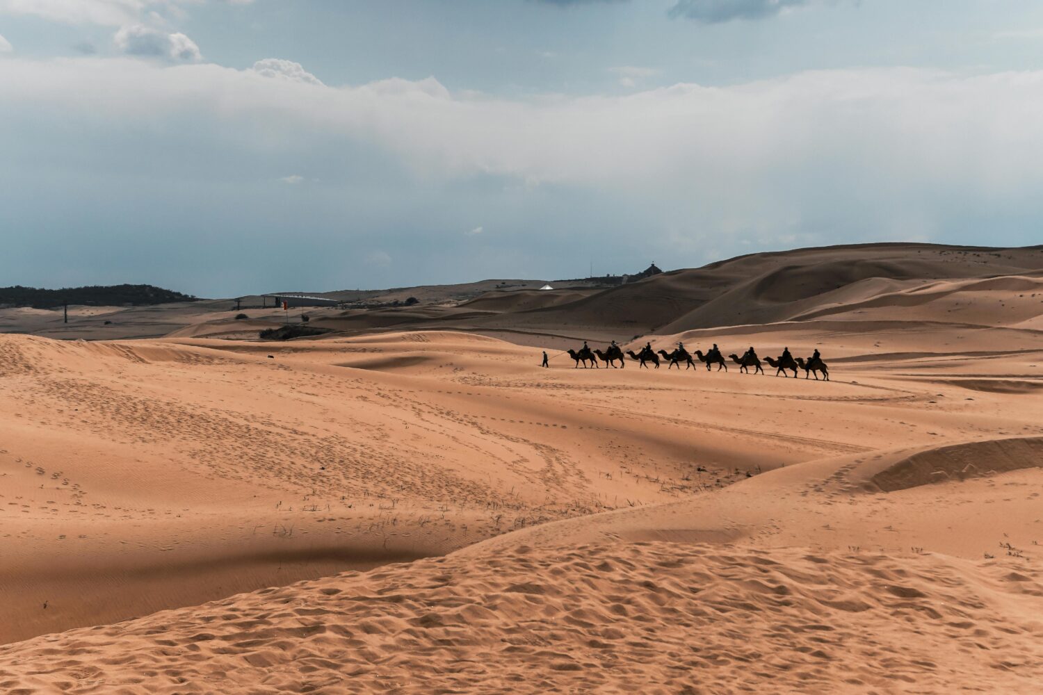 Traditional Mongolian Camel ride