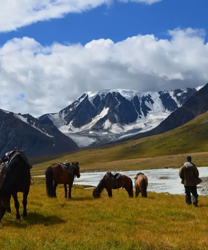 Horse Trekking Tour in Central Mongolia