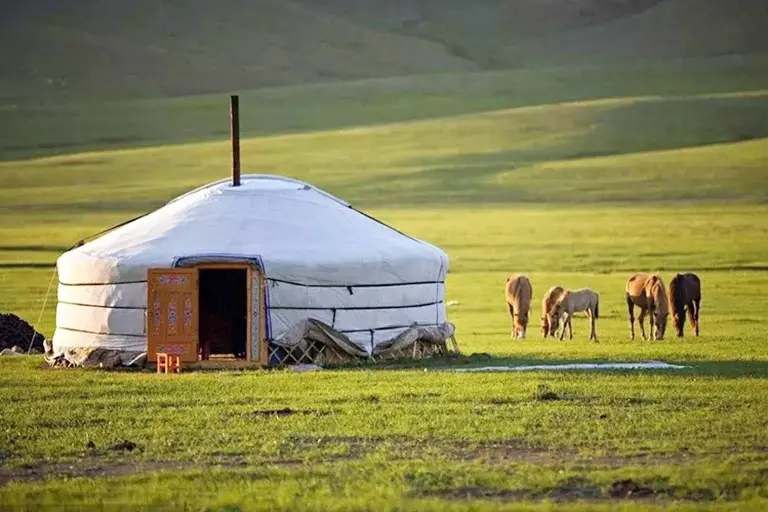 Mongolia Tours 2026 - Nomad Family