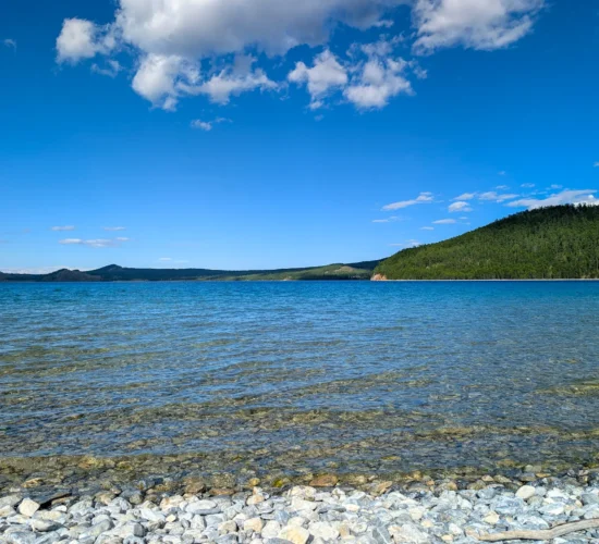 Tsaatan reindeer tour