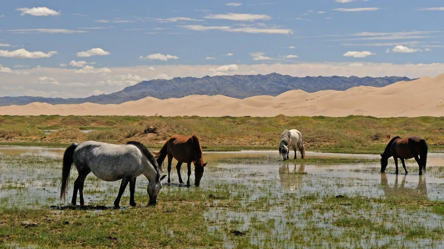 Tailor Made Mongolia Tours - Nomad Trail