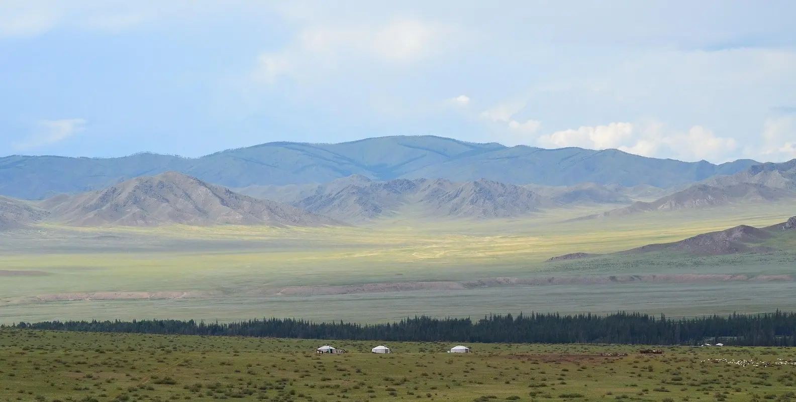 Nomad family gers and livestock in a wide green steppe valley with mountains on a private Mongolia tour